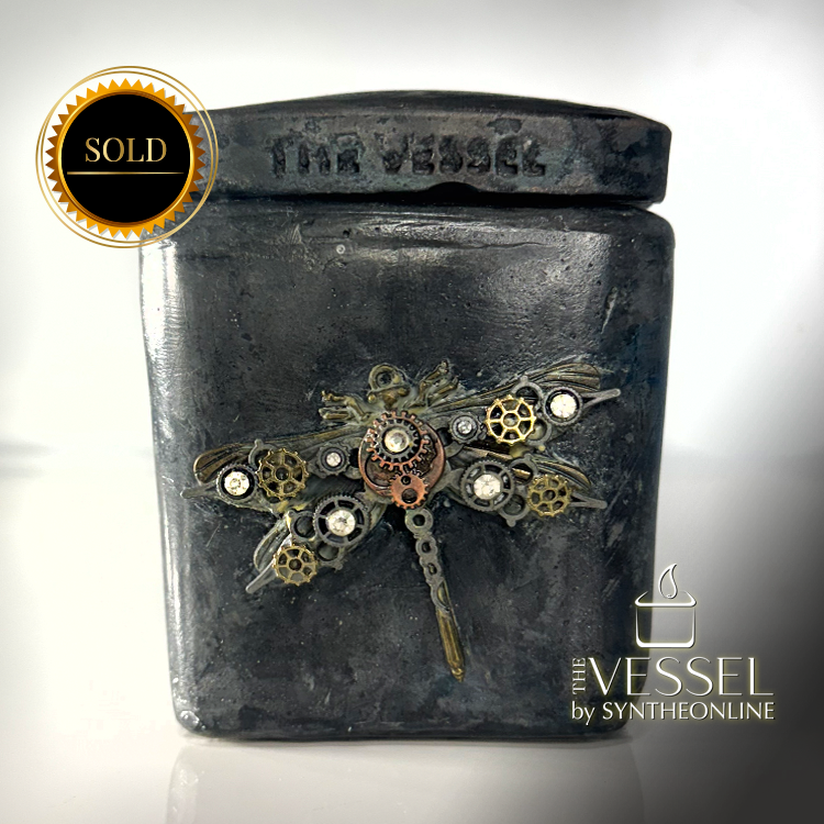 The VESSEL (Dragon Fly I)