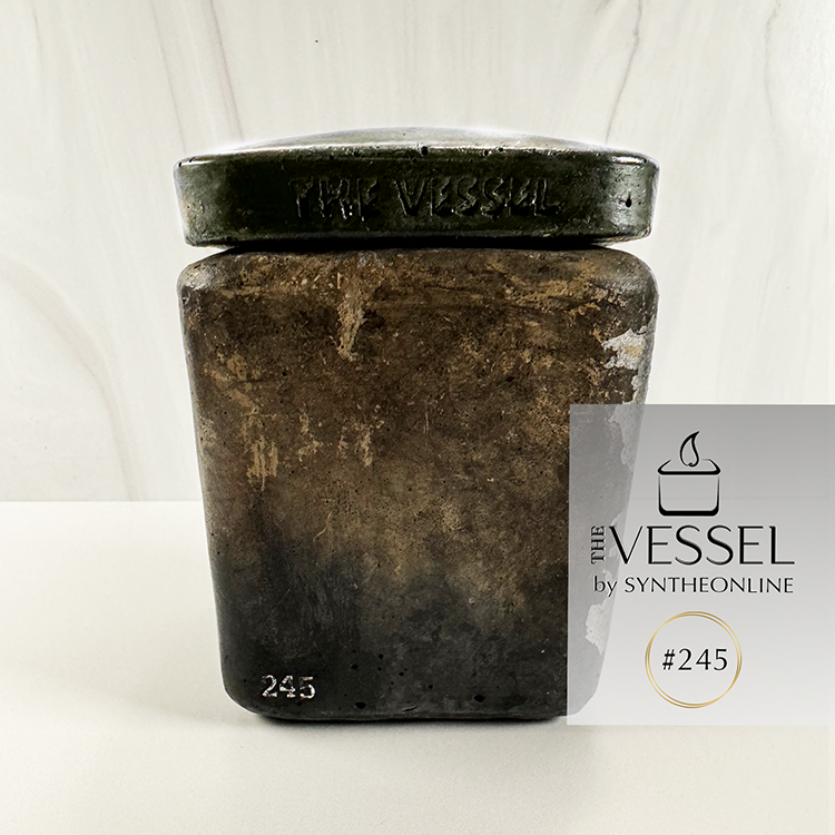 #245 The VESSEL by SYNTHEONLINE ⚠️ UNIQUE PIECE - Only 1 Available